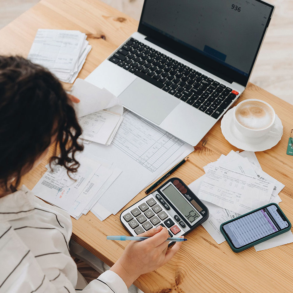 Mullins Non-Profit Audit