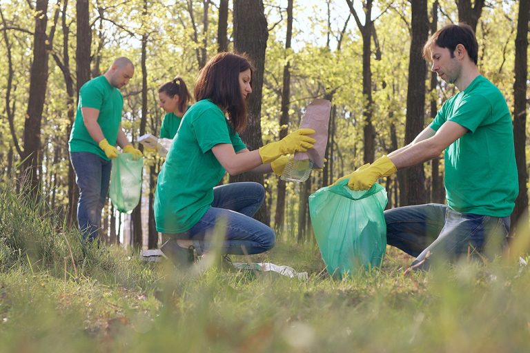 What Is an Audited Financial Statement for a Nonprofit and Why Is It Required?